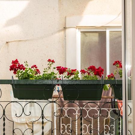 Arrabida House Apartment Setubal Ngoại thất bức ảnh